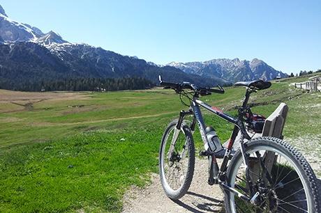 Hotel Erika - Schluderbach - Plätzwiese - Stolla Alm - Hotel Erika